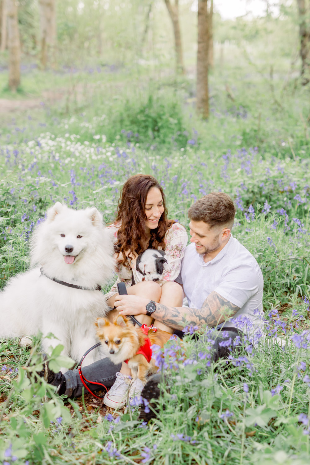 Couple photoshoot in bluebell Oakley Wood with puppies - Leamington Spa